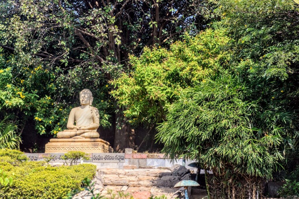 A tranquil Buddha statue surrounded by greenery, creating a peaceful outdoor scene.