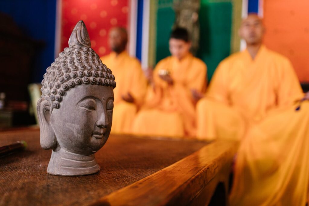 pexels photo 8711088.jpeg